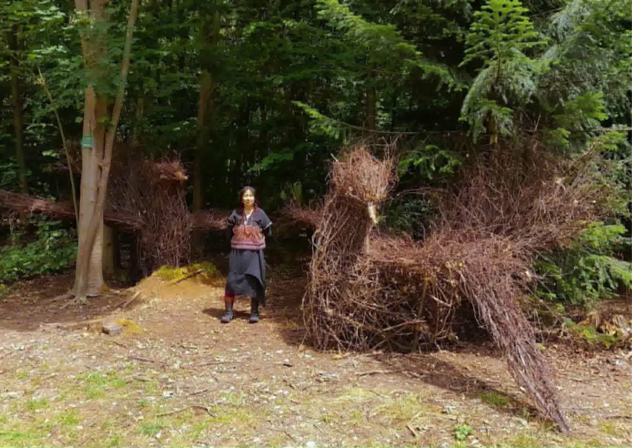 Patree Chimnok