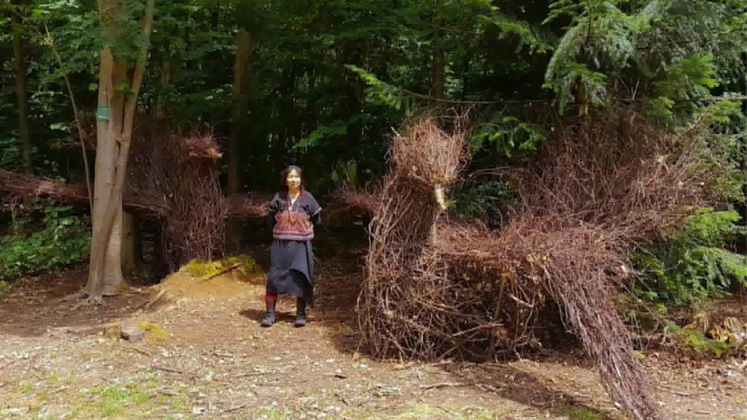 PatreeChimnok
